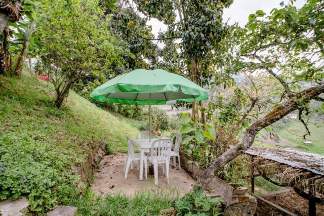 Finca Umnisa - 초아치 외부 사진